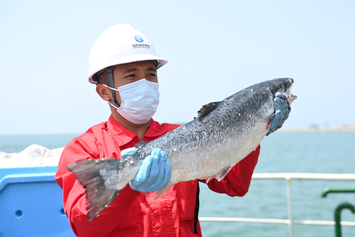 CHINESE FISH FARMING LEADS WORLD CAVIAR INCLUDED